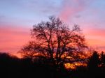 Morgenrood2