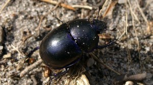 7174_w1000_r16-9_10890e5